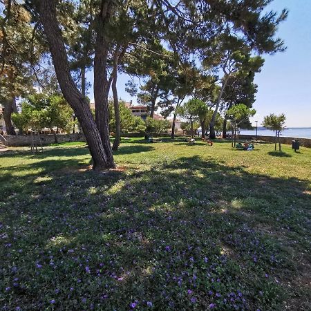 Nina Deluxe Superior 5 Star Apartment, Your Piece Of Heaven By The Sea & Park Novigrad  Luaran gambar